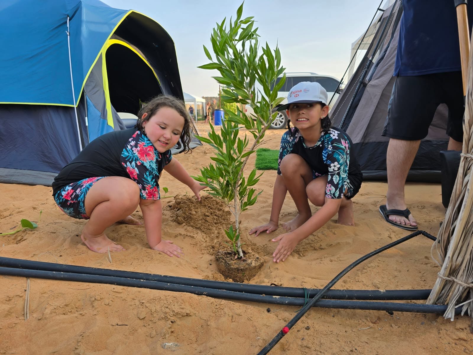 Tree planting day