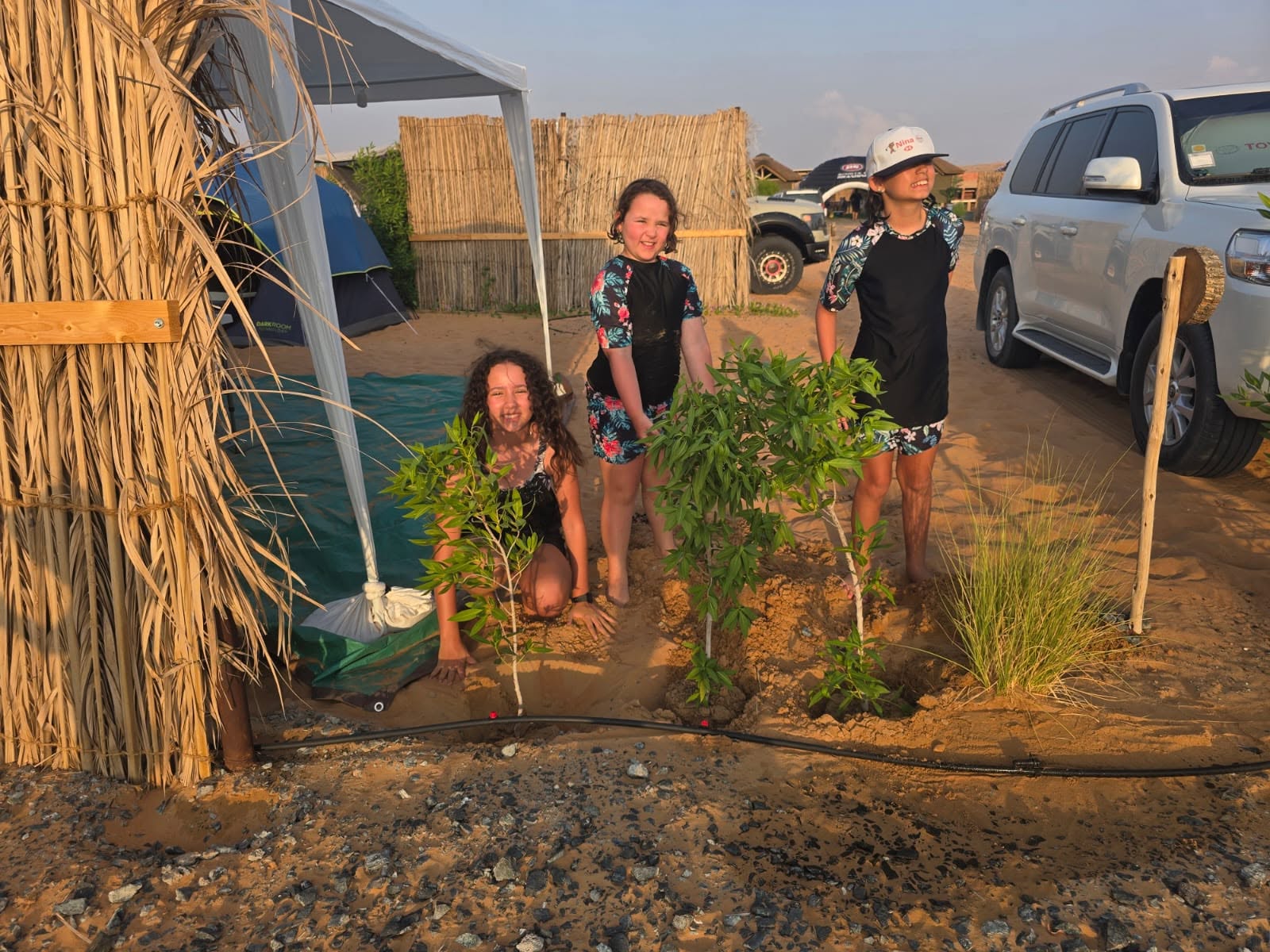 Planting trees at the campsite