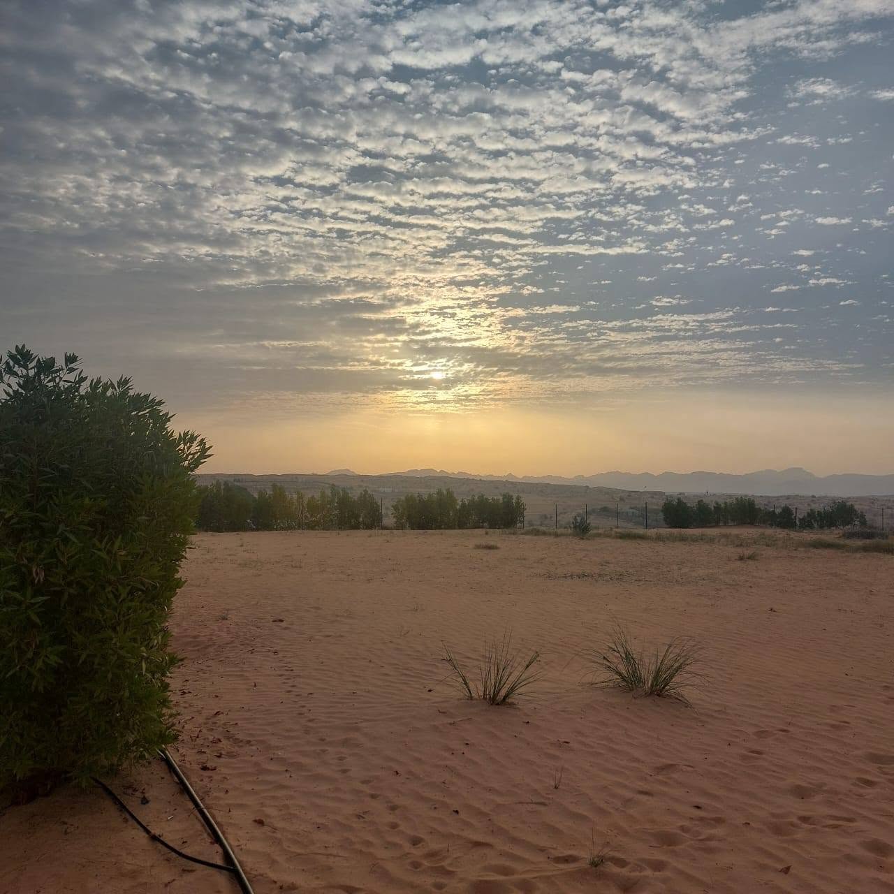 Desert sunrise
